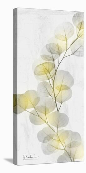 Eucalyptus Sunshine 2-Albert Koetsier-Premier Image Canvas