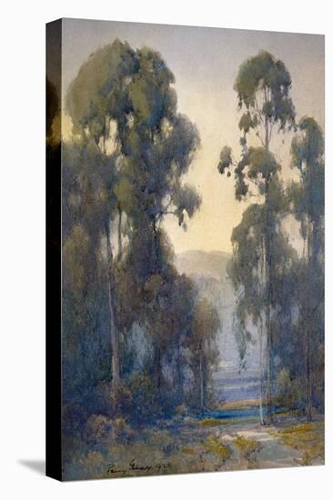 Eucalyptus-Percy Gray-Stretched Canvas
