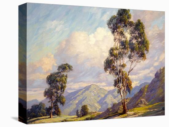 Eucalyptus-Paul Grimm-Stretched Canvas