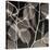 Eucalytus Leaves [Negative]-Steven N^ Meyers-Stretched Canvas