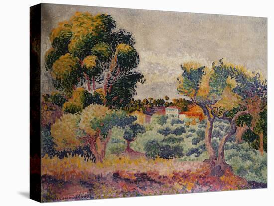 Eukalyptus und Olivenhain. 1907-Henri Edmond Cross-Premier Image Canvas