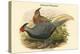 Euplocamus Lineatus - Lineated Pheasant-John Gould-Stretched Canvas