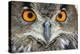 Eurasian Eagle Owl Adult-null-Premier Image Canvas