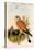 Eurasian Kestrel-John Gould-Stretched Canvas