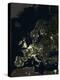 Europe At Night, Satellite Image-PLANETOBSERVER-Premier Image Canvas