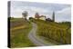 Europe, Austria, Styria, South-Styrian Wine Route, Vineyards, Houses-Gerhard Wild-Premier Image Canvas