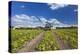 Europe, Germany, Brandenburg, Spreewald (Spree Forest), Cucumber Harvest-Chris Seba-Premier Image Canvas