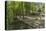 Europe, Germany, Brandenburg, Spreewald (Spree Forest), Forest Restaurant 'Wotschofska'-Chris Seba-Premier Image Canvas