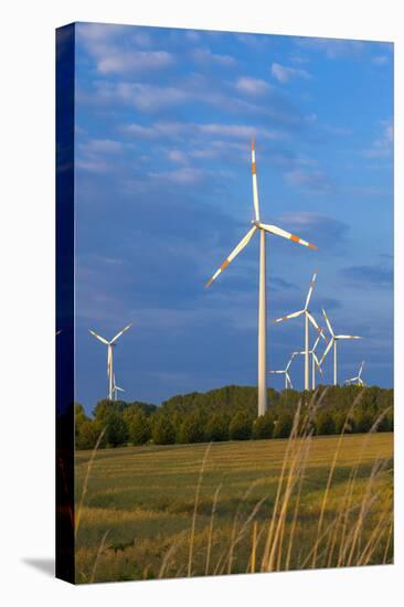 Europe, Germany, Saxony-Anhalt, Magdeburg Bšrde, Wind Turbines-Chris Seba-Premier Image Canvas