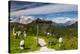 Europe, Italy, Alps, Dolomites, Mountains, Veneto, Belluno, Giau Pass-Mikolaj Gospodarek-Premier Image Canvas
