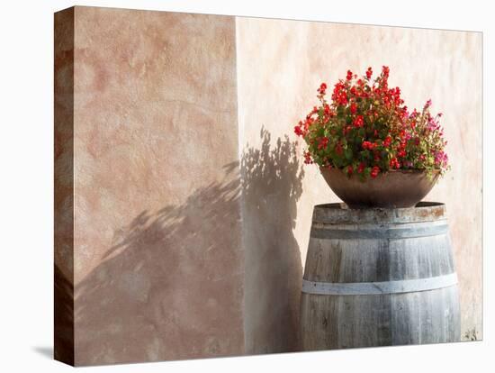 Europe, Italy, Tuscany. Flower Pot on Old Wine Barrel at Winery-Julie Eggers-Premier Image Canvas