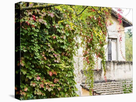 Europe, Italy, Tuscany. Ivy Covered House in the Town of Impruneta-Julie Eggers-Premier Image Canvas