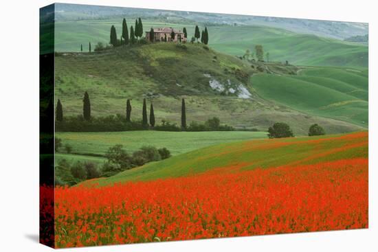 Europe, Italy, Tuscany. The Belvedere villa landmark and farmland.-Jaynes Gallery-Premier Image Canvas