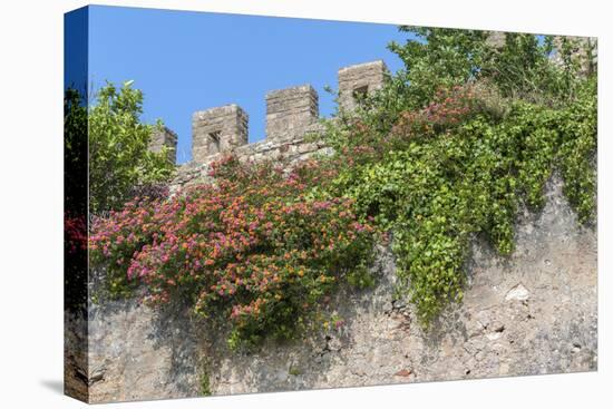 Europe, Portugal, Obidos, Flowering Plant and Vine on Battlement Wall-Lisa S. Engelbrecht-Premier Image Canvas