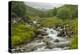 Europe, Scotland, Cairngorm National Park. Mountain Stream Cascade-Cathy & Gordon Illg-Premier Image Canvas