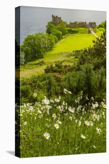 Europe, Scotland, Loch Ness. Landscape of Castle Urquhart Ruins-Cathy & Gordon Illg-Premier Image Canvas