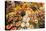 Europe, Spain, Barcelona, St. Josep La Boqueria, Food Market, Fruit-Lisa S. Engelbrecht-Premier Image Canvas