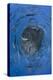 European barracuda and Bluefish circling baitball of Atlantic horse mackerel, Azores-Jordi Chias-Premier Image Canvas