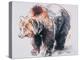 European Brown Bear, 2001-Mark Adlington-Premier Image Canvas