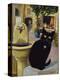 European Cat at St. Paul de Vence, France-Isy Ochoa-Premier Image Canvas