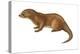 European Otter (Lutra Lutra), Mammals-Encyclopaedia Britannica-Stretched Canvas