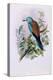 European Roller; Coracias Garrula, 1862-1873 (Hand-Finished Colour Lithograph)-John Gould-Premier Image Canvas