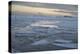 Evening at Jokulsarlon Glacier-Niki Haselwanter-Premier Image Canvas