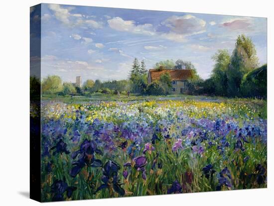 Evening at the Iris Field-Timothy Easton-Premier Image Canvas