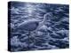 Evening Blues-Jeff Tift-Premier Image Canvas