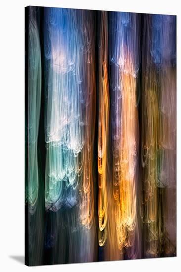 Evening Cedars-Ursula Abresch-Premier Image Canvas