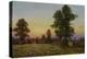 Evening Daisies-Bill Makinson-Premier Image Canvas