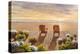 Evening Deck View-Diane Romanello-Stretched Canvas