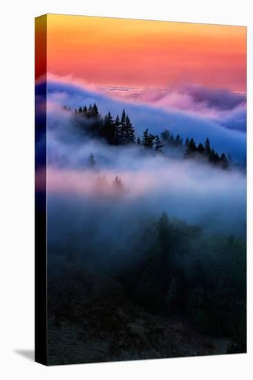 Evening Falls in the Hills of Mount Tam, Northern California Fog-Vincent James-Premier Image Canvas