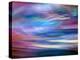 Evening Ferry Ride-Ursula Abresch-Premier Image Canvas