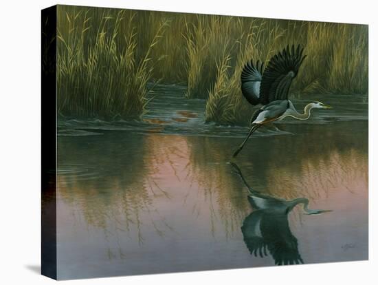 Evening Flight - Great Blue Heron-Wilhelm Goebel-Premier Image Canvas