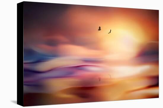 Evening Flight-Ursula Abresch-Premier Image Canvas