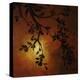 Evening Garden IV-Kari Taylor-Premier Image Canvas