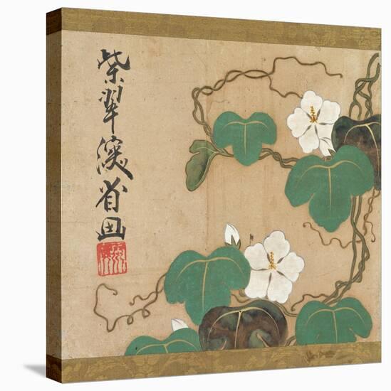 Evening Glories-Ogata Kenzan-Premier Image Canvas