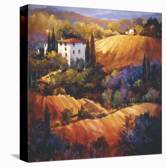 Evening Glow Tuscany-Nancy O'toole-Stretched Canvas