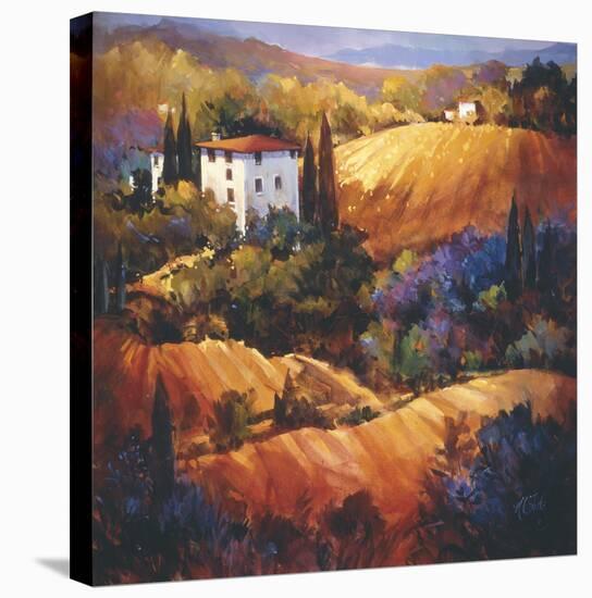 Evening Glow Tuscany-Nancy O'toole-Stretched Canvas