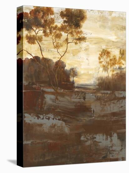 Evening Glow-Simon Addyman-Stretched Canvas