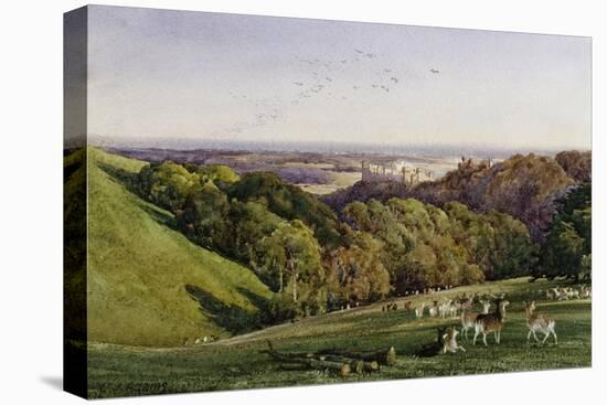 Evening in Arundel Park, Sussex, England-Charles James Adams-Premier Image Canvas