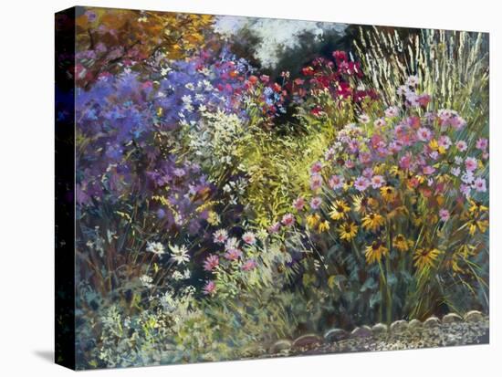 Evening in the Garden-Nel Whatmore-Stretched Canvas