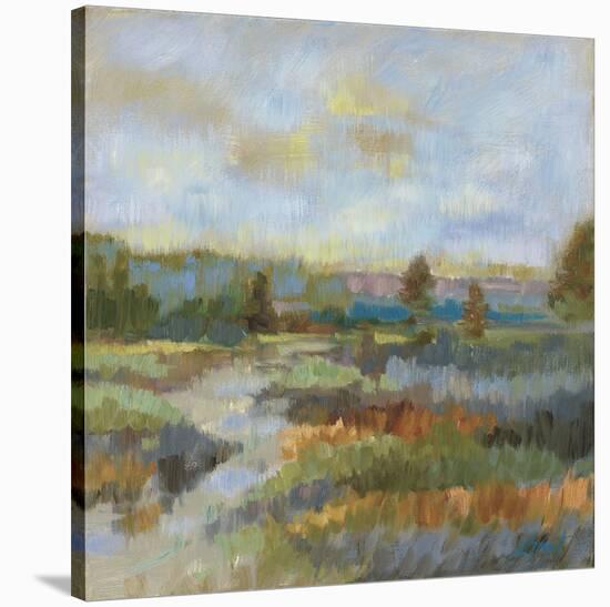 Evening Landscape Study-Libby Smart-Stretched Canvas