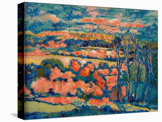 Evening Landscape-Brenda Brin Booker-Premier Image Canvas