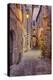 Evening Light Along a Back Alley of Assisi-Terry Eggers-Premier Image Canvas
