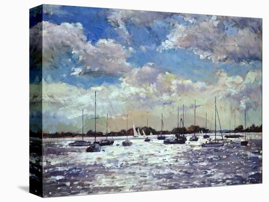 Evening Light, Gulf of Morbihan, 2002-Christopher Glanville-Premier Image Canvas