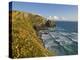 Evening Light on Carnewas Island, Beach and Rugged Coastline at Bedruthan Steps, England-Neale Clark-Premier Image Canvas