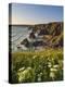 Evening Light on Rock Stacks, Beach and Rugged Coastline, Bedruthan Steps, North Cornwall, England-Neale Clark-Premier Image Canvas