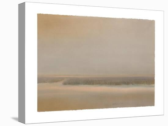 Evening Marsh-Sammy Sheler-Stretched Canvas